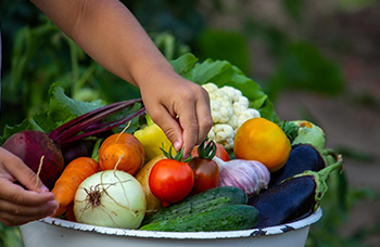 Eddy's Agro Organic Products